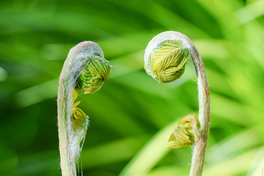 278: Evolve Don't Revolve Your Blogging