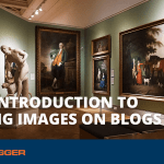An Introduction to Using Images on Blogs