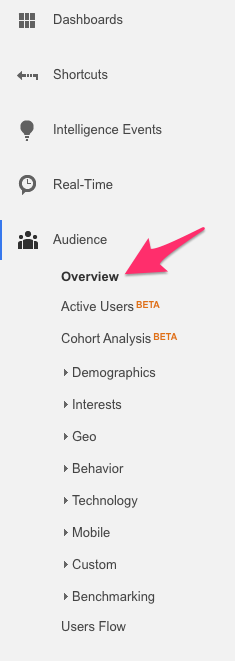 Audience_Overview_-_Google_Analytics